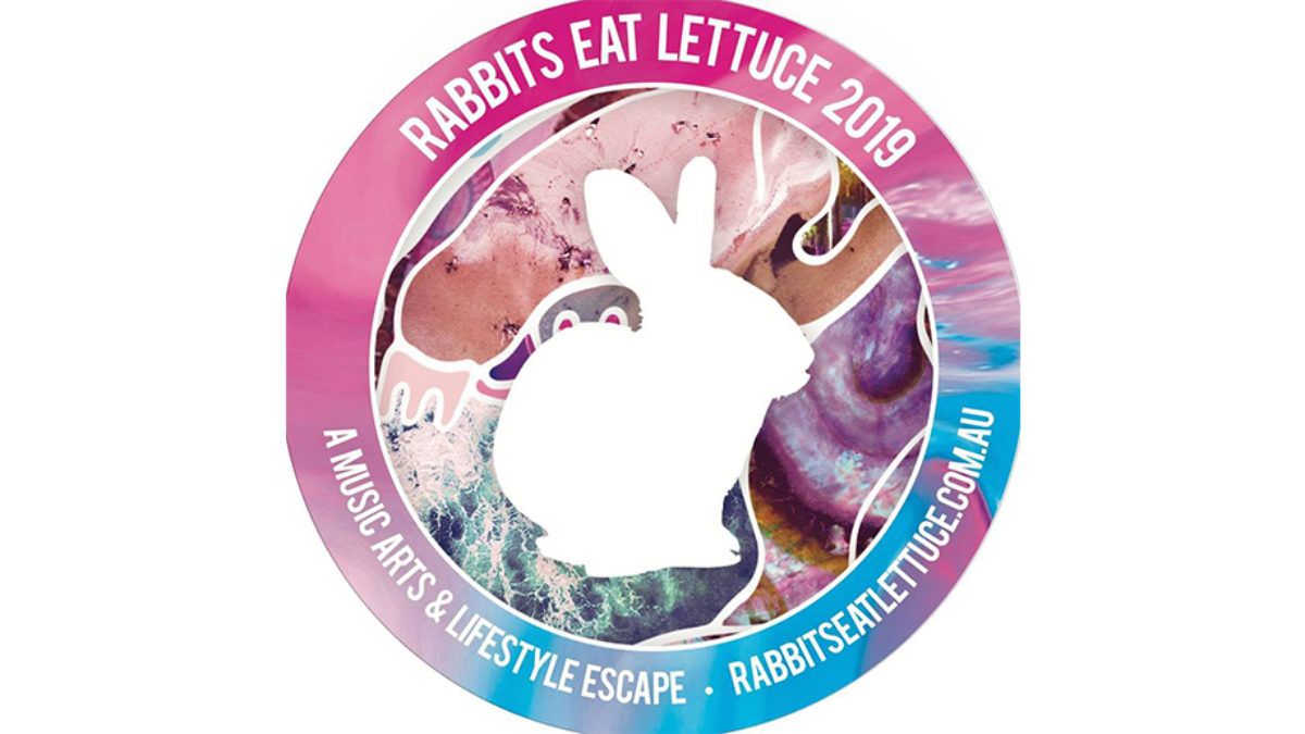 Rabbits Eat Lettuce