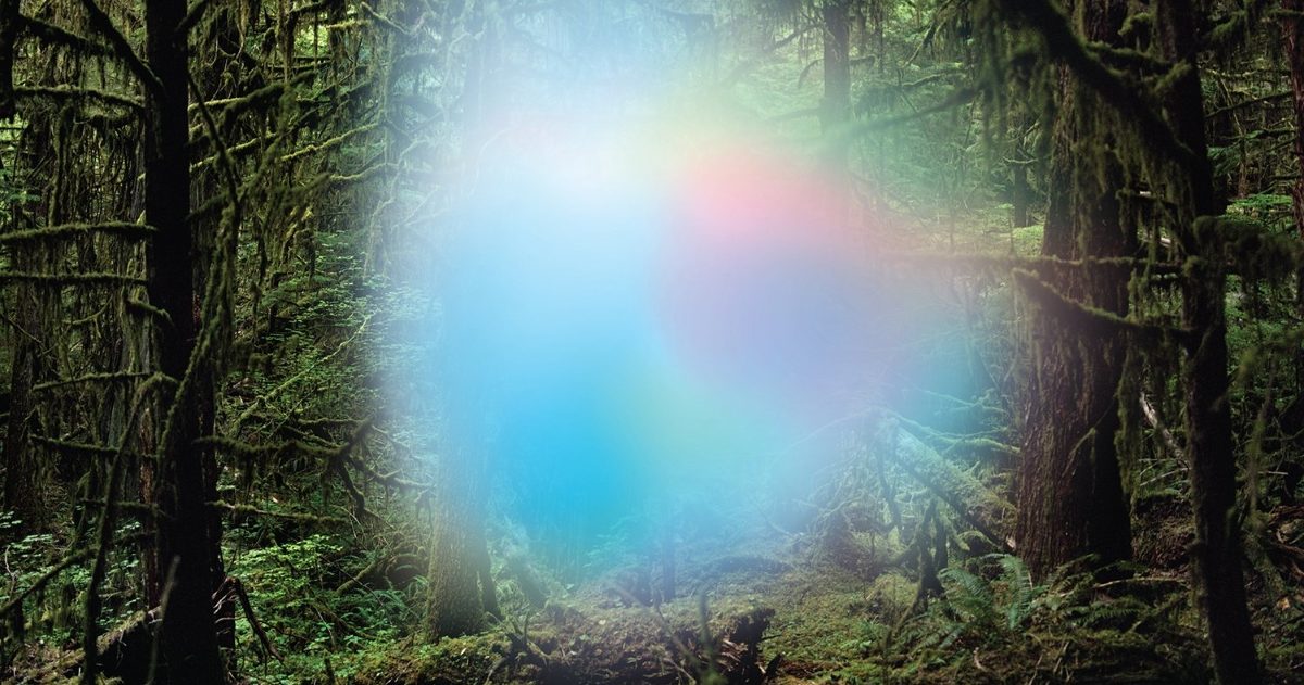 Ghosts Of The Forest Title Track