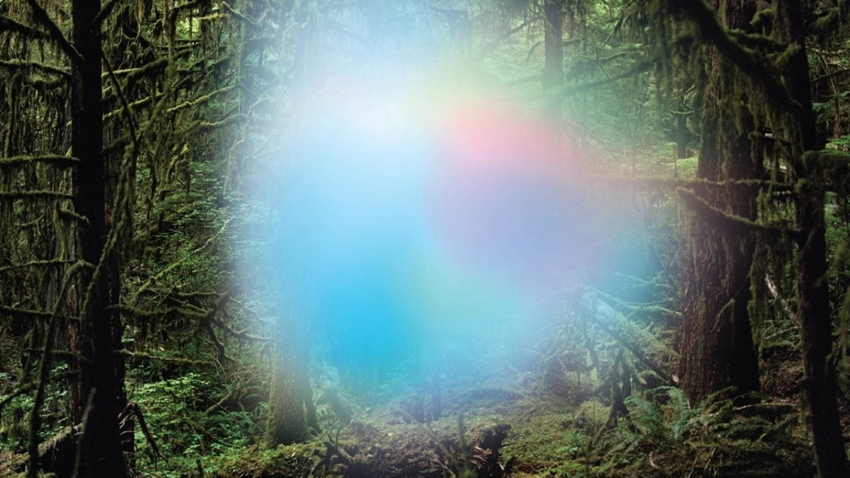 Trey Anastasio Releases 'Ghosts Of The Forest' Studio Album