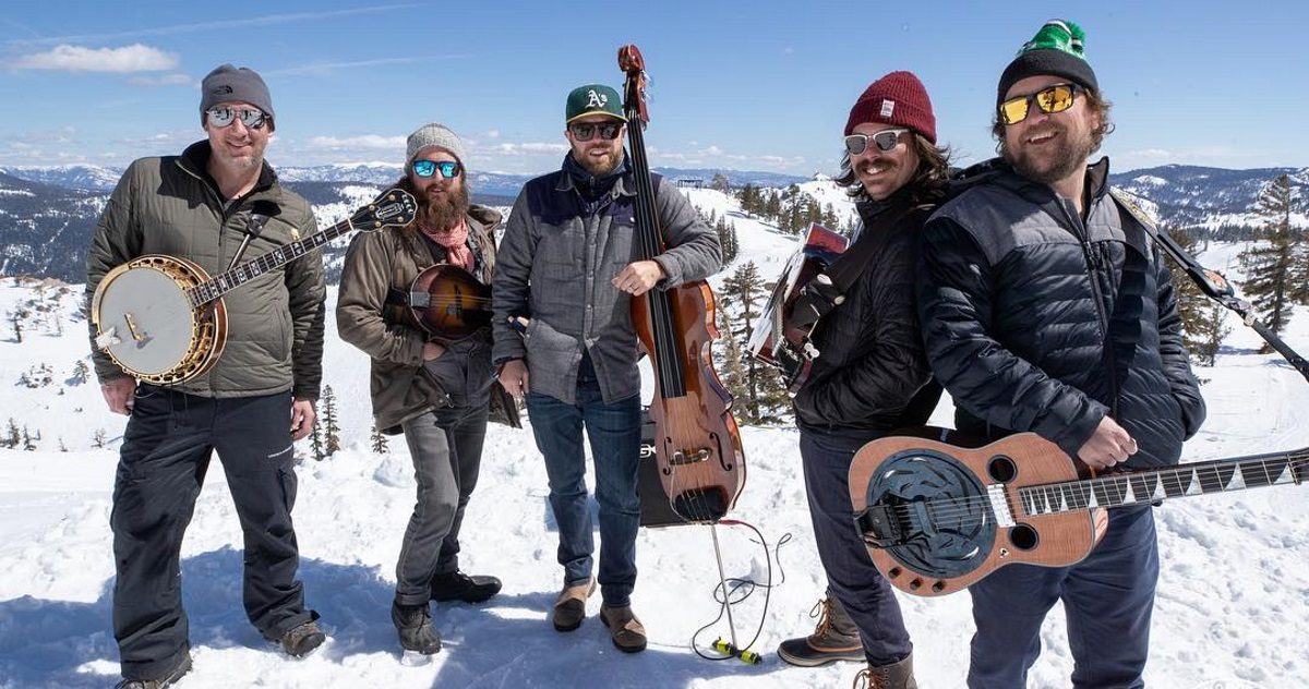 greenskybluegrass-winterwondergrass