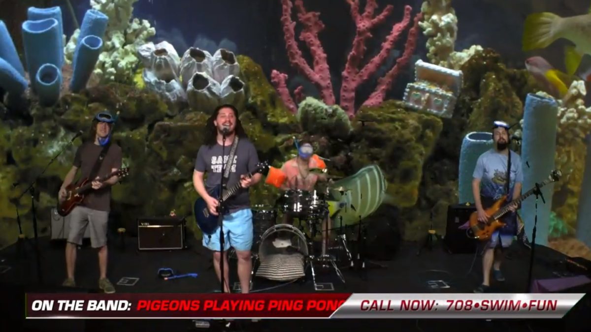 Pigeons Playing Ping Pong Perform On Adult Swim's 'FishCenter'