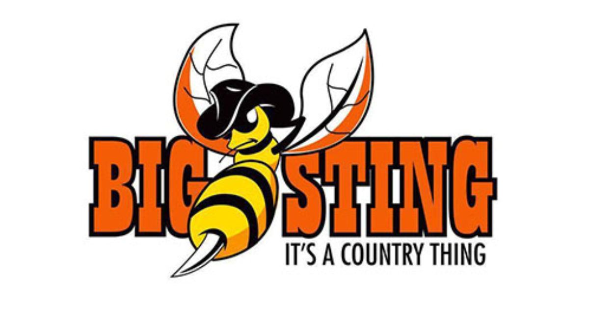 The Big Sting