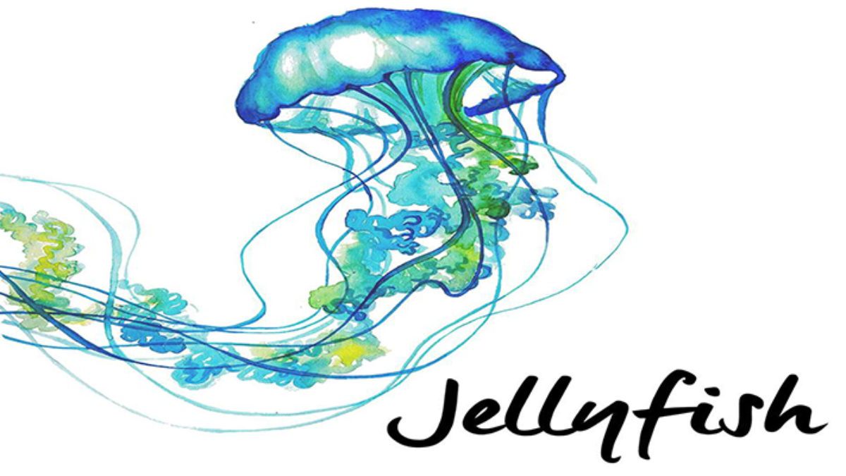 Jellyfish Festival