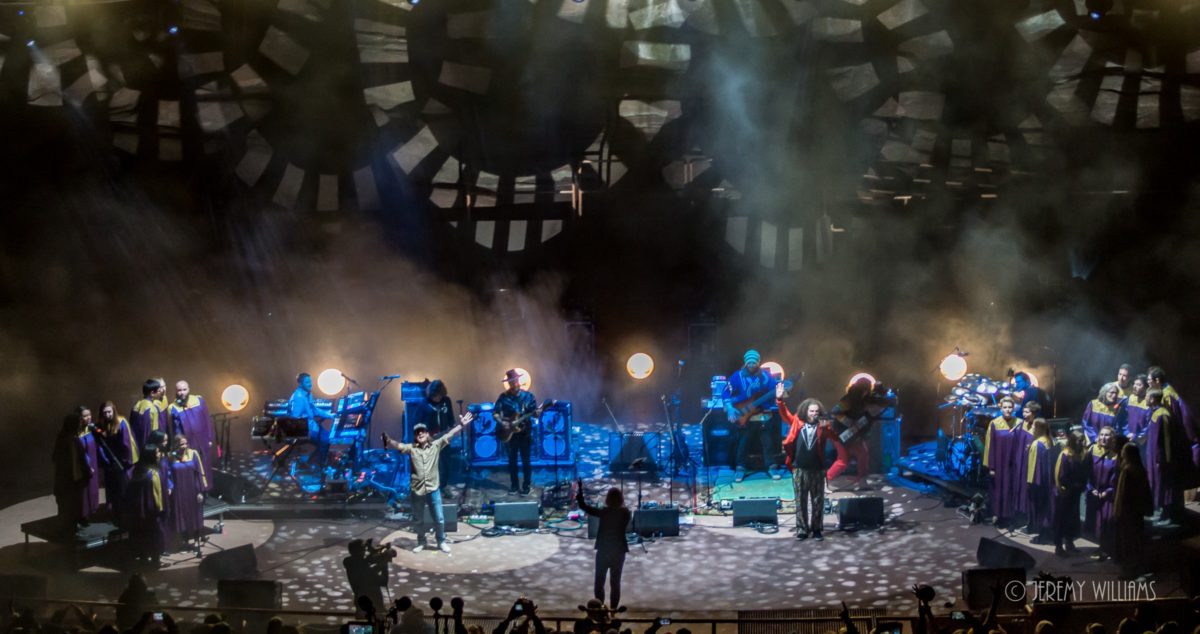 Twiddle Pigeons Playing Ping Pong Kitchen Dwellers Red Rocks 2019 Williams