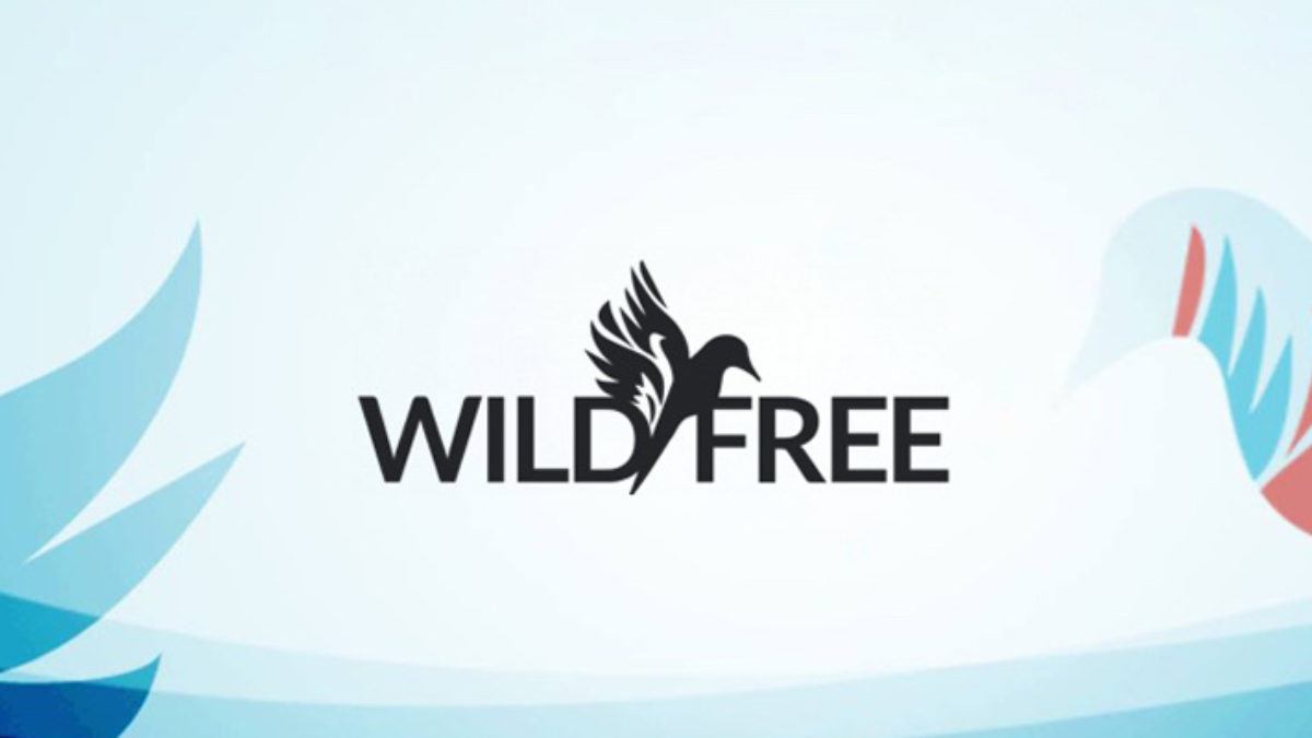 Wild and Free Festival