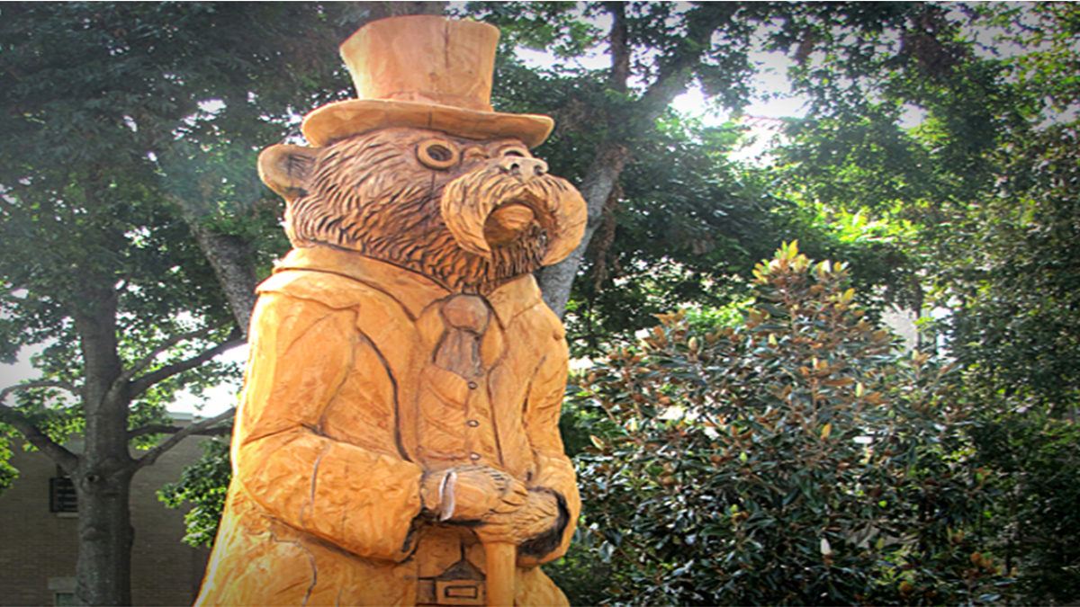 Great Delta Bear Affair