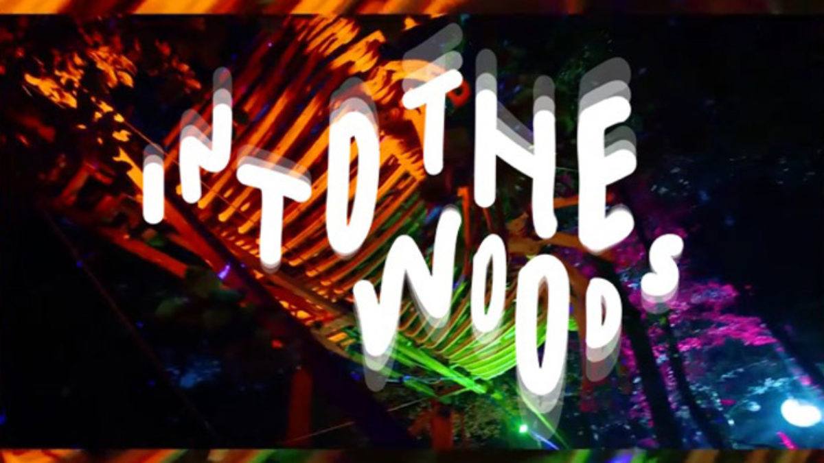 Into the Woods (NL)