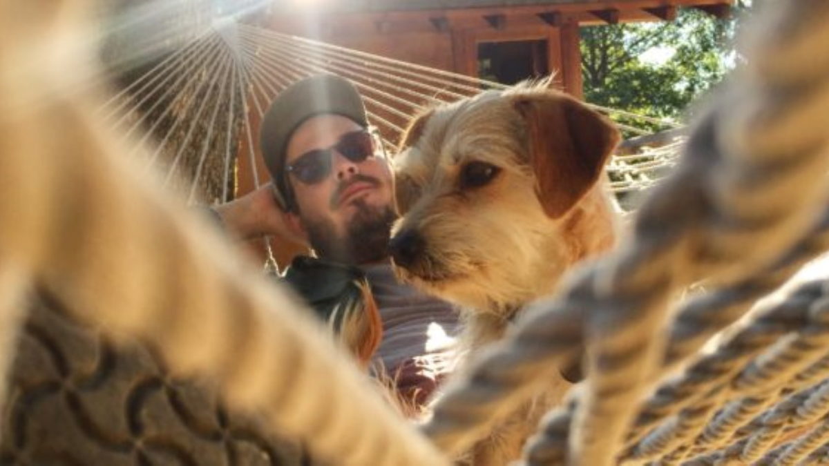 Vetiver Announces New Album 'Up On High' & Shares Single