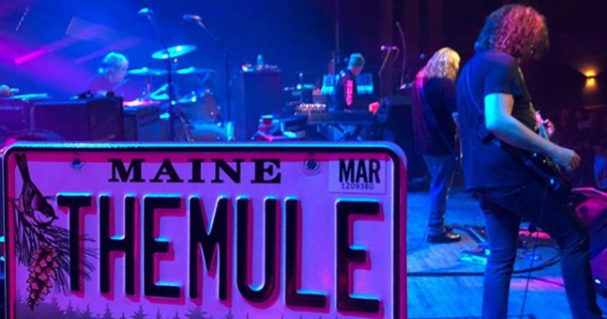 Govt Mule Portland