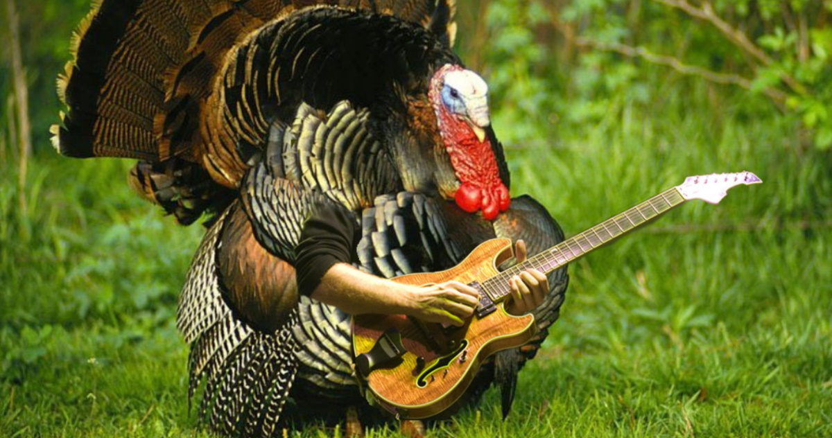 Trey Anastasio Phish Thankgiving