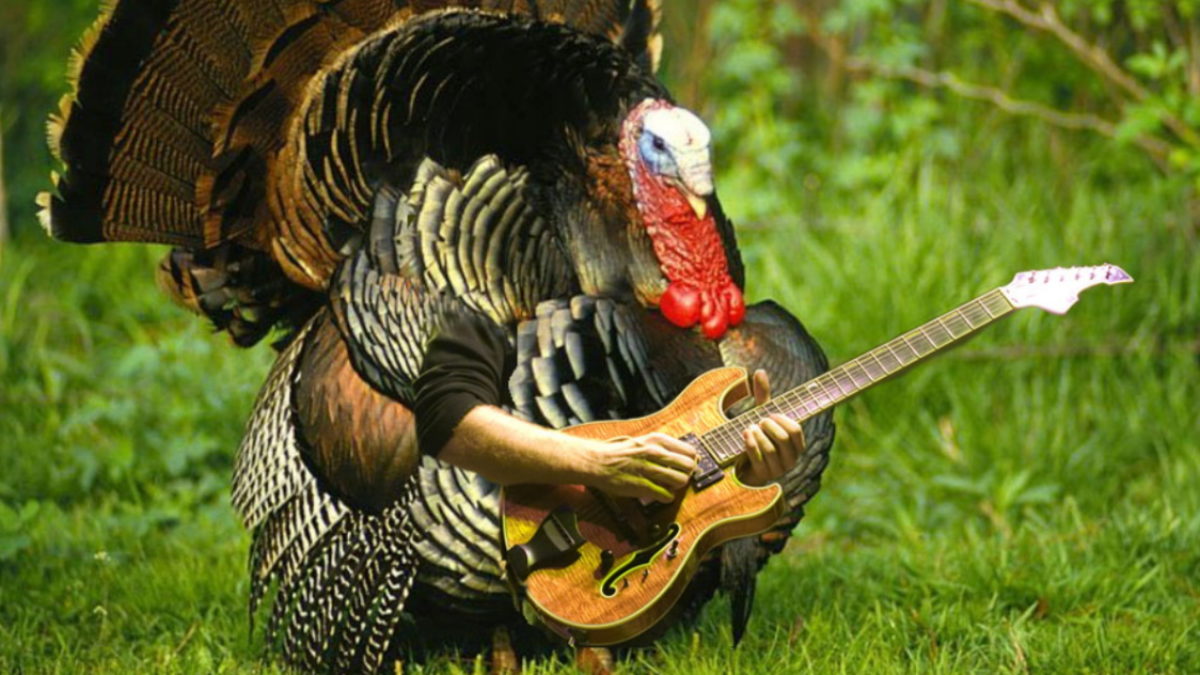 Phish's Top 10 Thanksgiving Jams