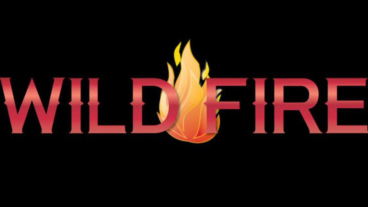 Wildfire BBQ Cook Off