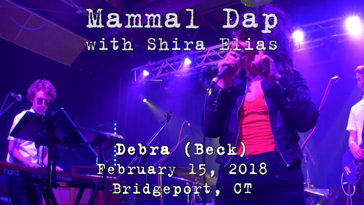 Mammal Dap with Shira Elias: Debra (Beck) 2018-02-15 - The Acoustic; Bridgeport, CT [2-Cam/4K]
