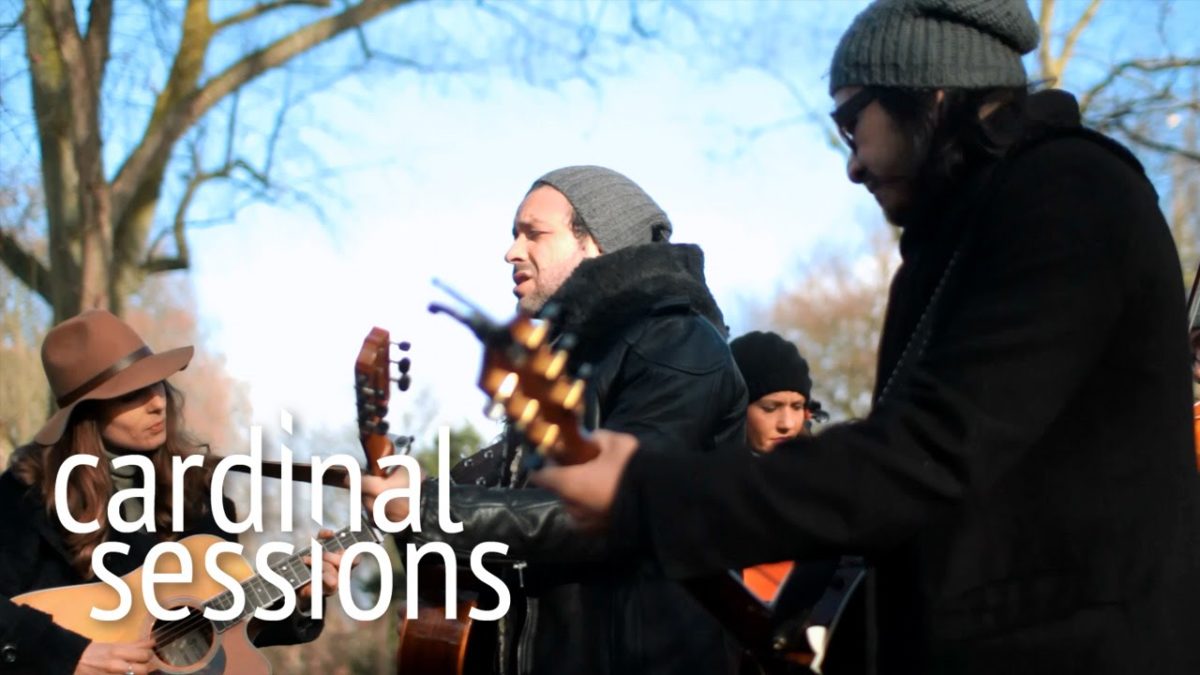 Adam Cohen - So Much To Learn - CARDINAL SESSIONS