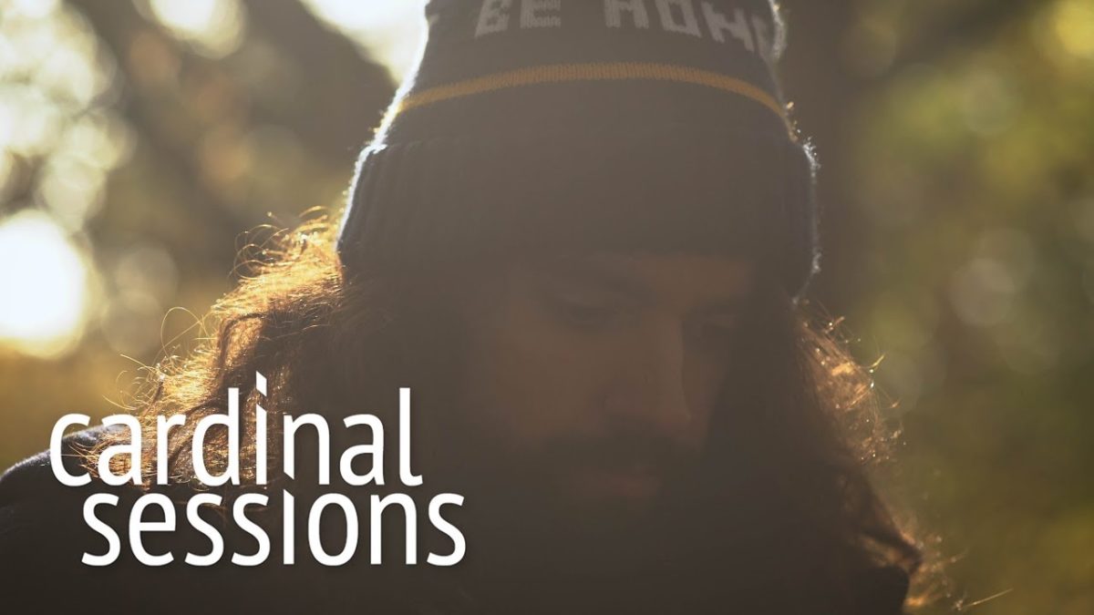 Anthony D'Amato - Honey That's Not All - CARDINAL SESSIONS