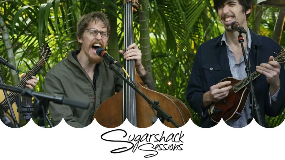 Appleseed Collective - Darling (Live Acoustic) | Sugarshack Sessions