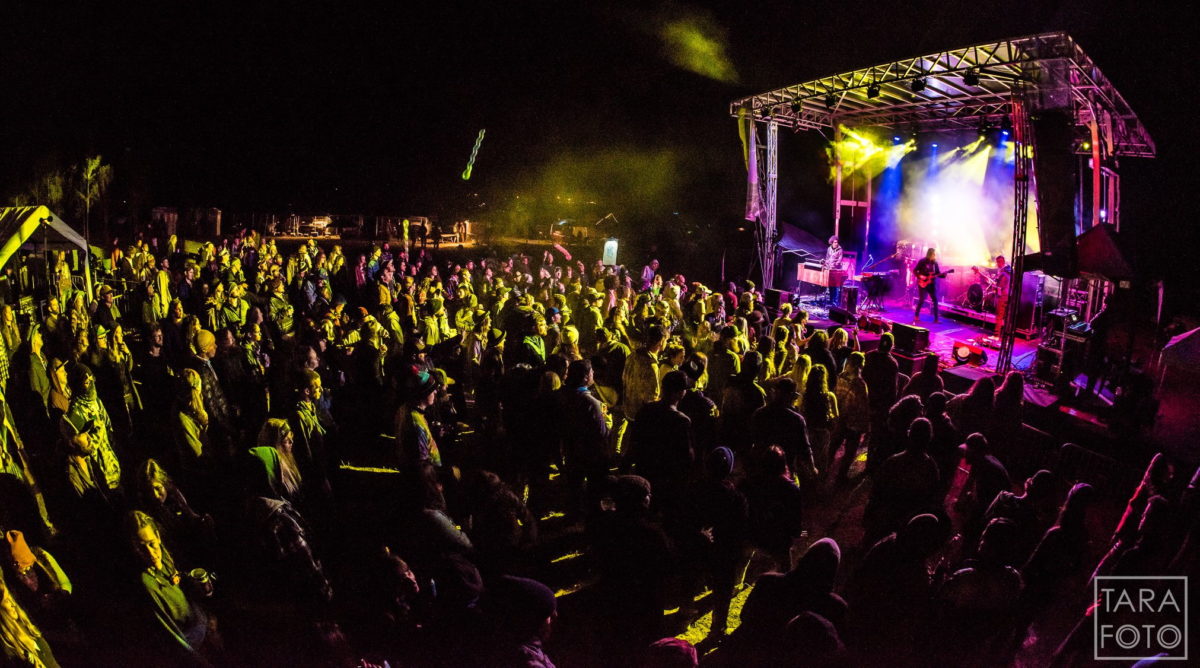 Beanstalk Festival Live
