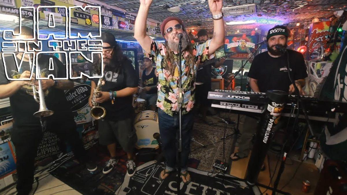 PRIME LIVITY - "First Sight" (Live at Reggae On The Mountain 2019) #JAMINTHEVAN