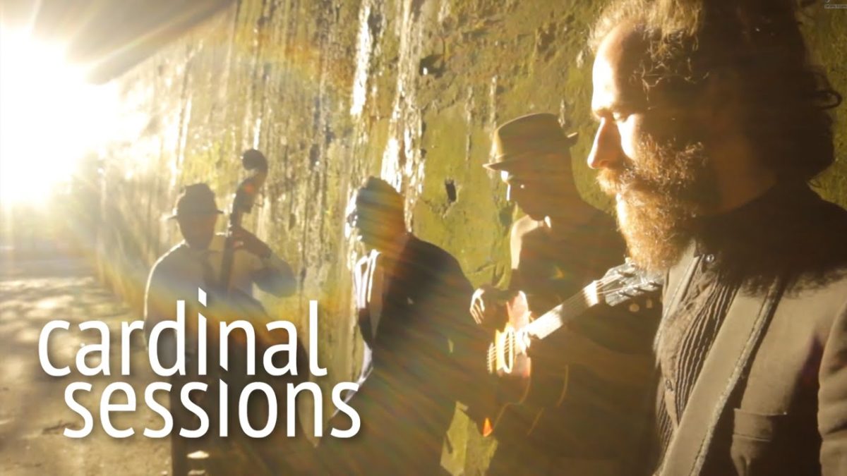 Reverend Shine Snake Oil Co. - Nice Guy - CARDINAL SESSIONS (Traumzeit Festival Special)