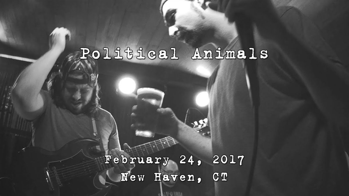 Political Animals: 2017-02-24 - Pacific Standard Tavern; New Haven, CT (clip) [4K]