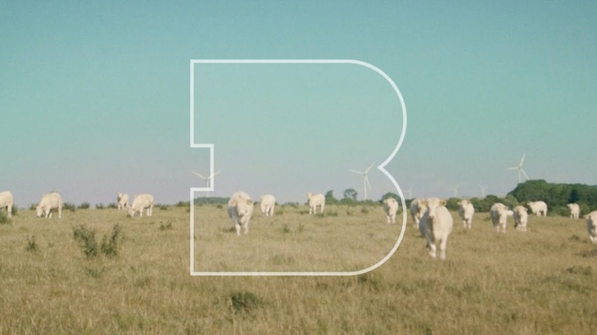 Kirin J Callinan - Life is life feat. Faux Real | A Take Away Cow