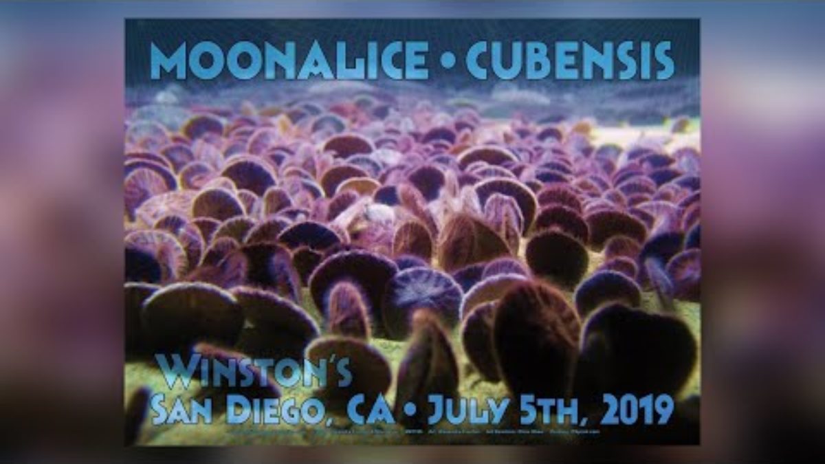 Moonalice at Winston's in San Diego, CA w/ Cubensis