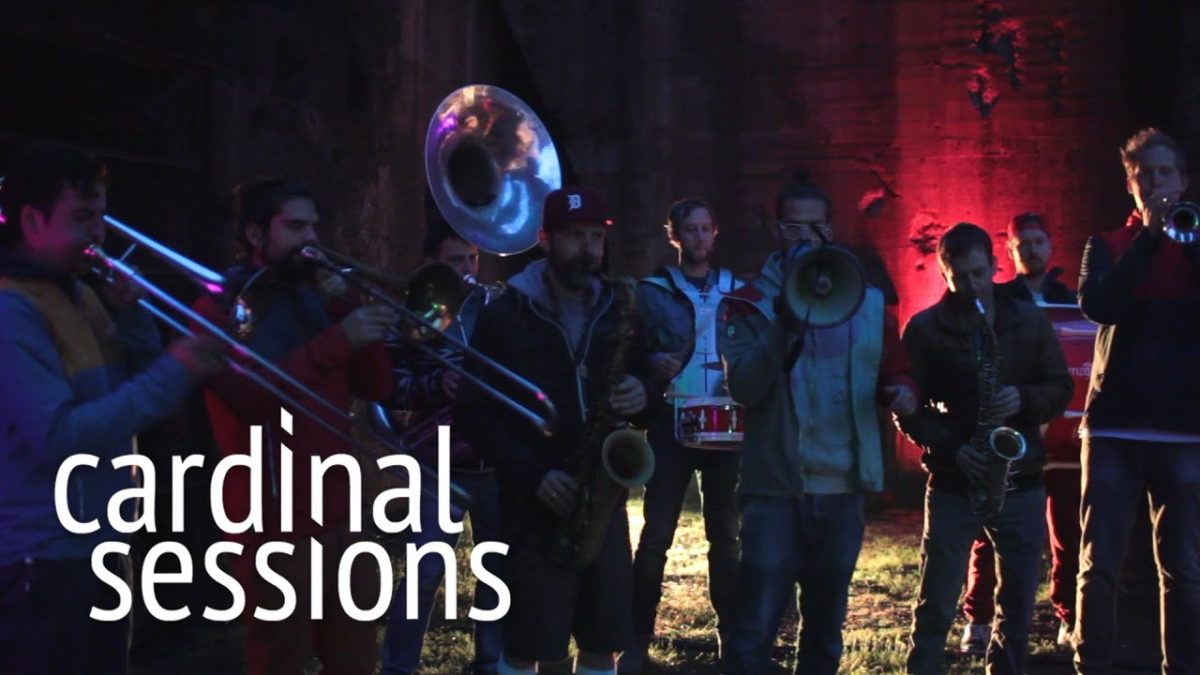 Moop Mama - Komplize - CARDINAL SESSIONS (Traumzeit Festival Special)