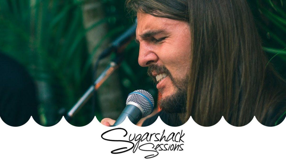 Roots of a Rebellion - Shapes of a Soul (Live Acoustic) | Sugarshack Sessions
