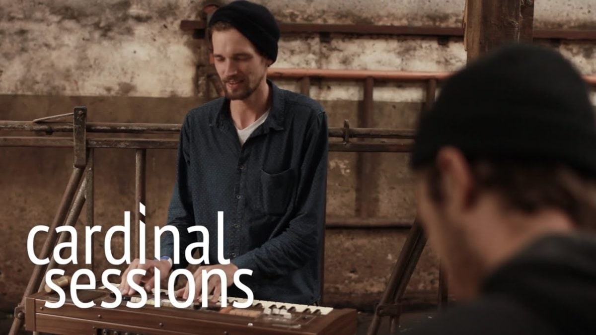 Say Yes Dog - Stronger - CARDINAL SESSIONS (Appletree Garden Special)