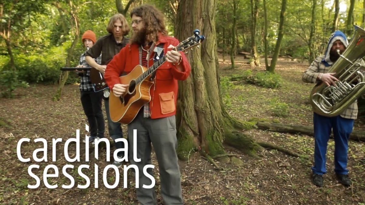 Seth Faergolzia - Doubting Won't Do - CARDINAL SESSIONS