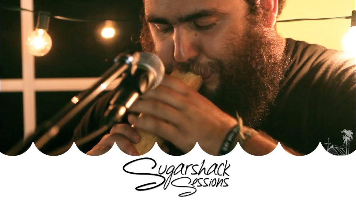 Sol Seed - Family Tree (Live Acoustic) | Sugarshack Sessions