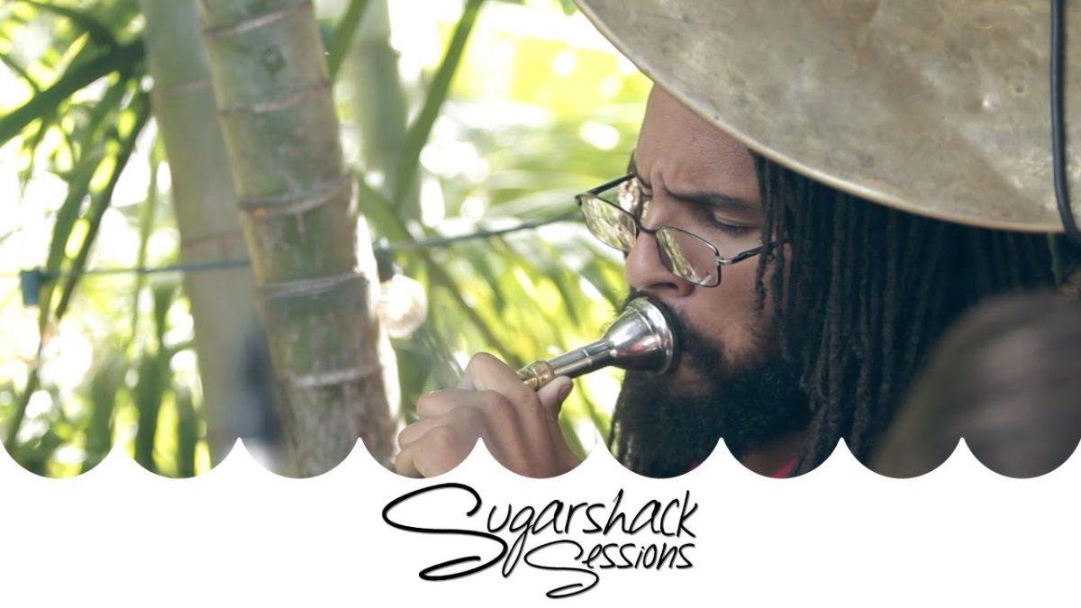Sugarshack Sessions | Dirty Bourbon River Show - Animal