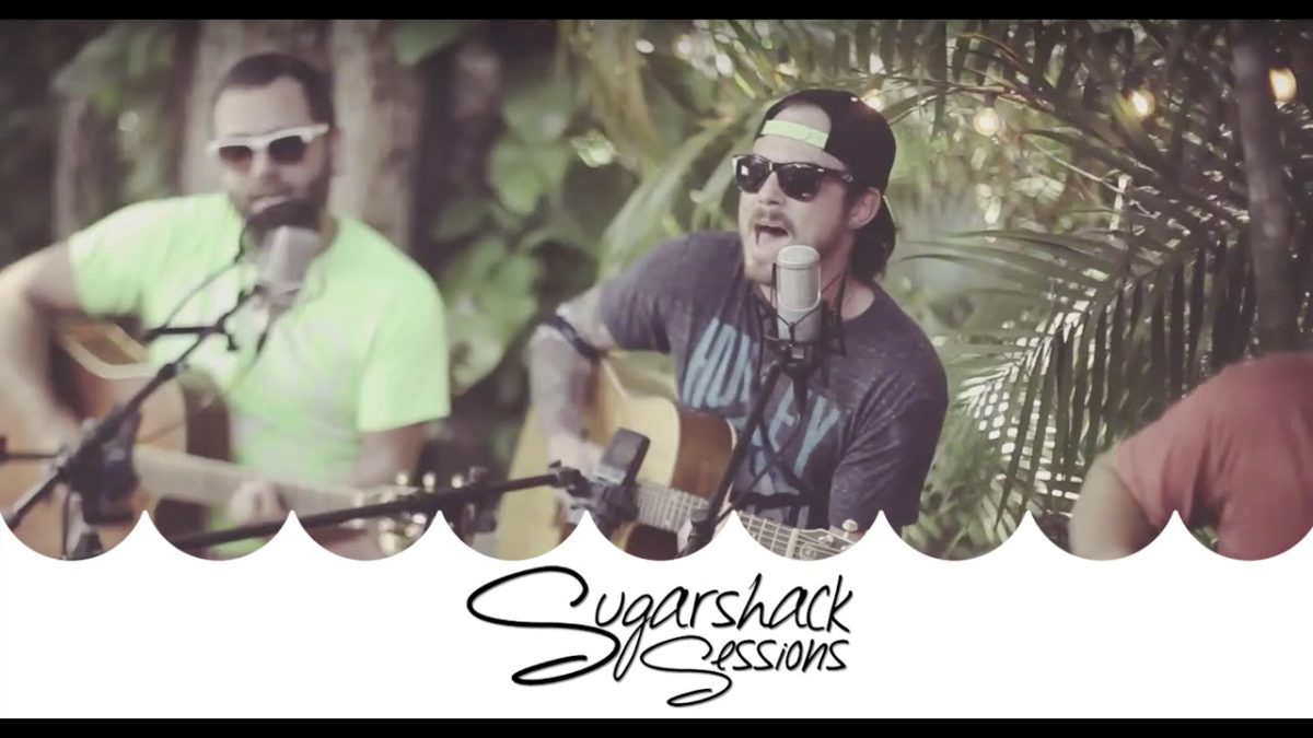 Summer Survivors - Hashed Out | Sugarshack Sessions