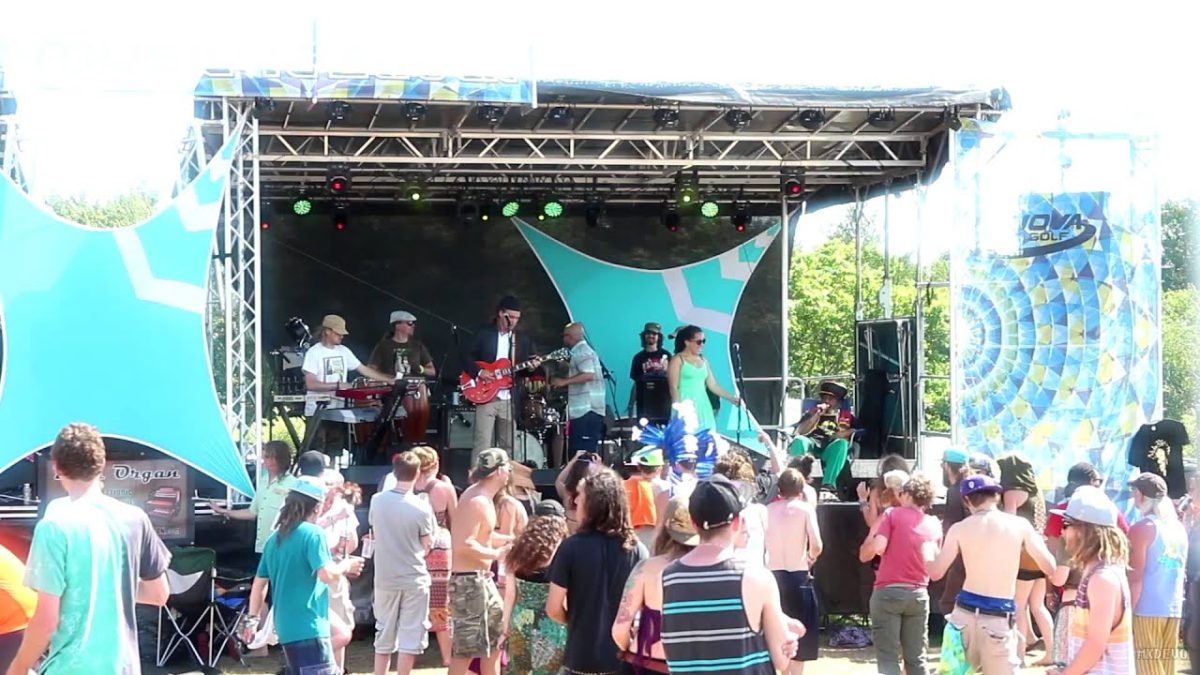 The Alchemystics: 2014-06-15 - Disc Jam Music Festival [HD]