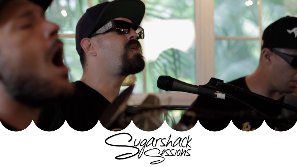 The Expanders - People Business (Live Acoustic) | Sugarshack Sessions