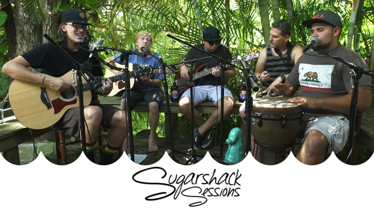The Holidazed - In My Garden | Sugarshack Sessions