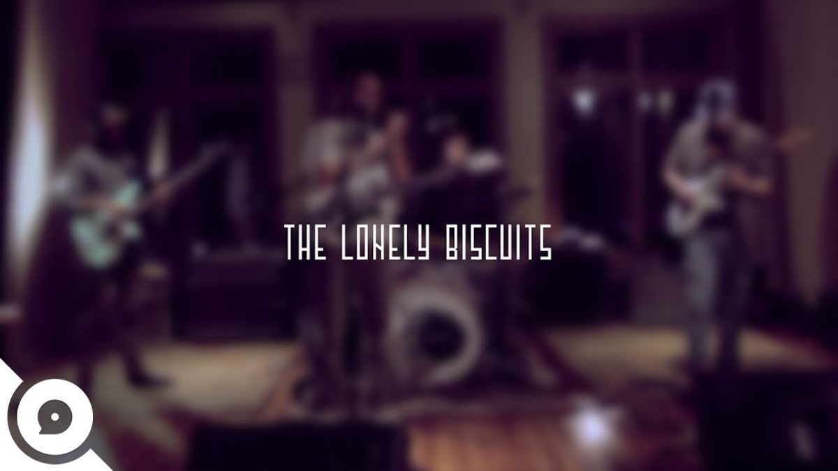 The Lonely Biscuits - Casual Vibes | OurVinyl Sessions