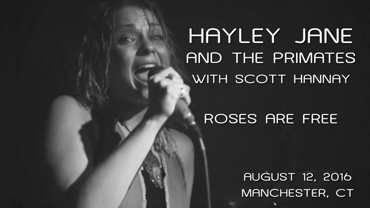Hayley Jane and The Primates w/Scott Hannay: Roses Are Free [4K] 2016-08-12 - Manchester, CT