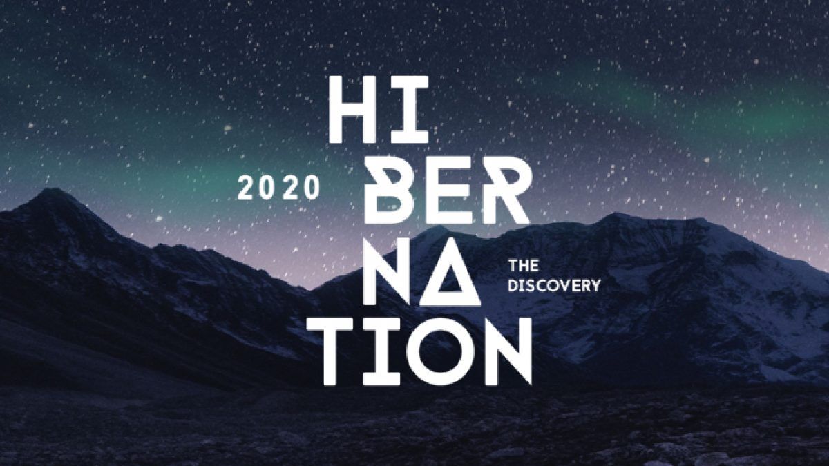 Hibernation