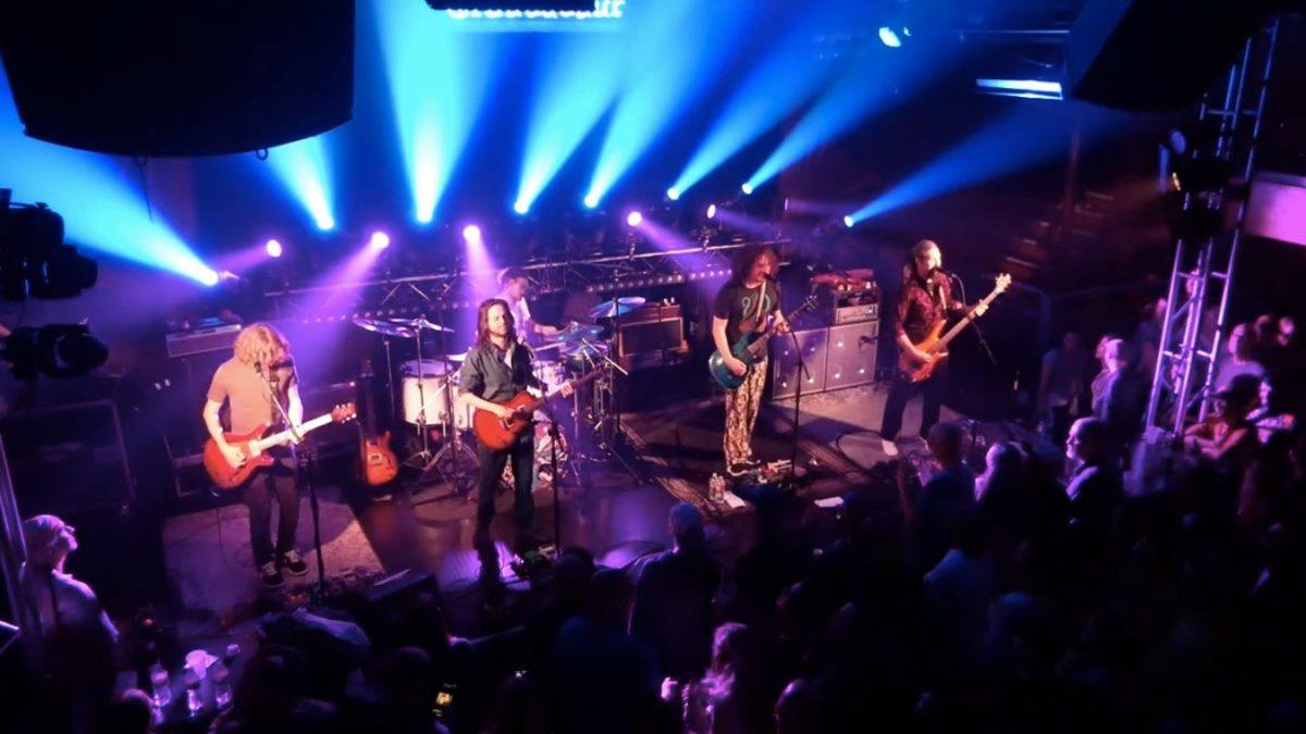 Pigeons Playing Ping Pong Perform ‘Oh, Loretta!’ With Angus Leslie: Pro-Shot Video