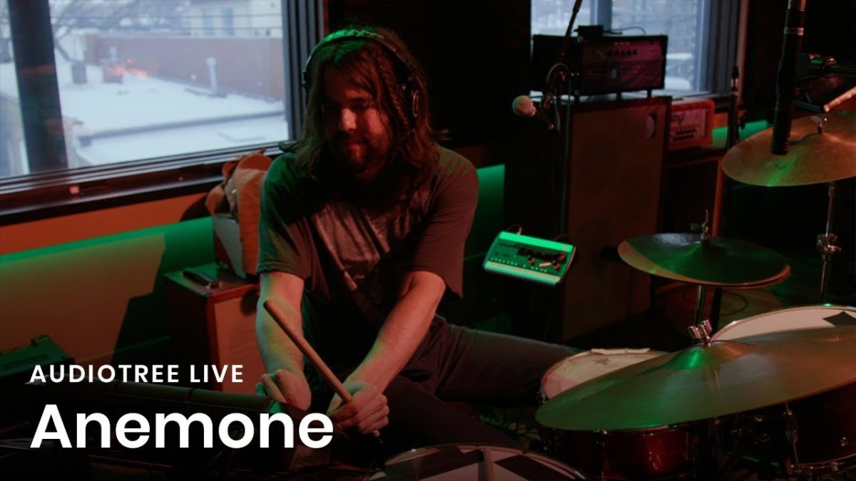 Anemone - Bout De Toi | Audiotree Live