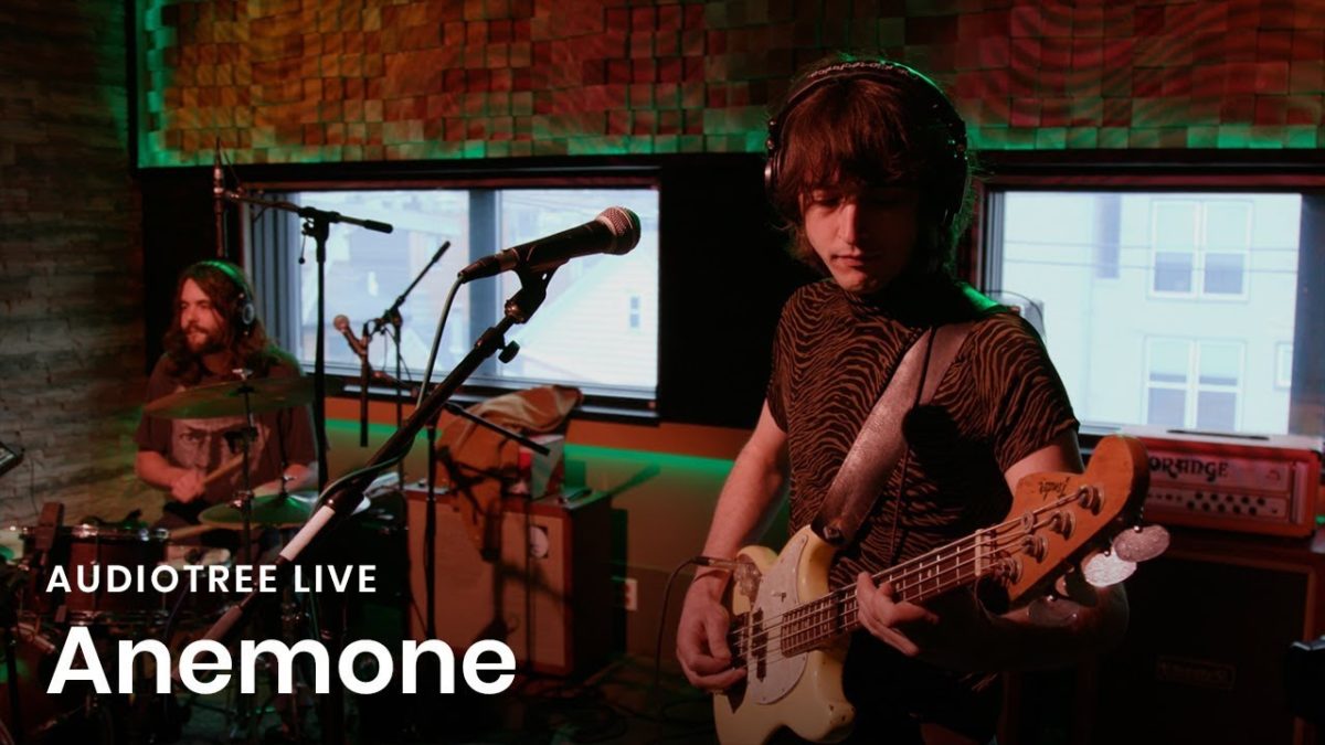 Anemone - Memory Lane | Audiotree Live