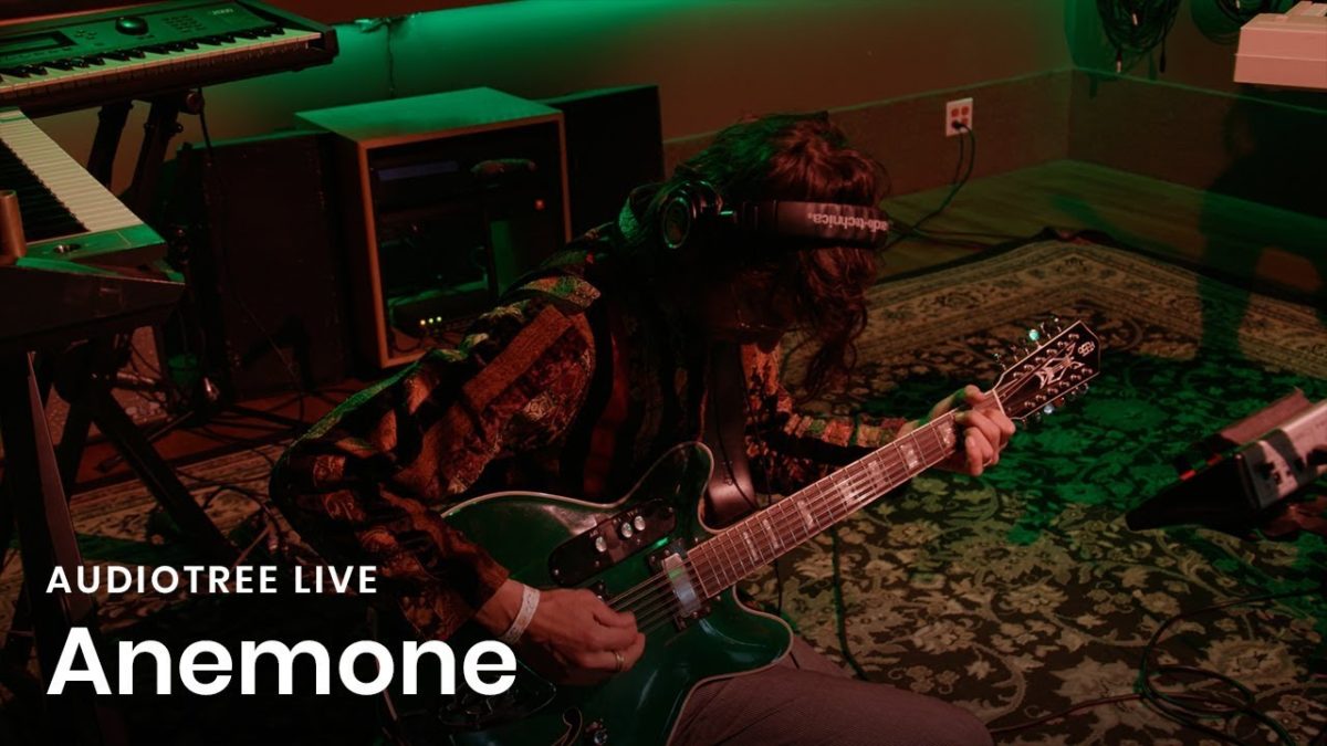 Anemone - She's the One / Segue | Audiotree Live