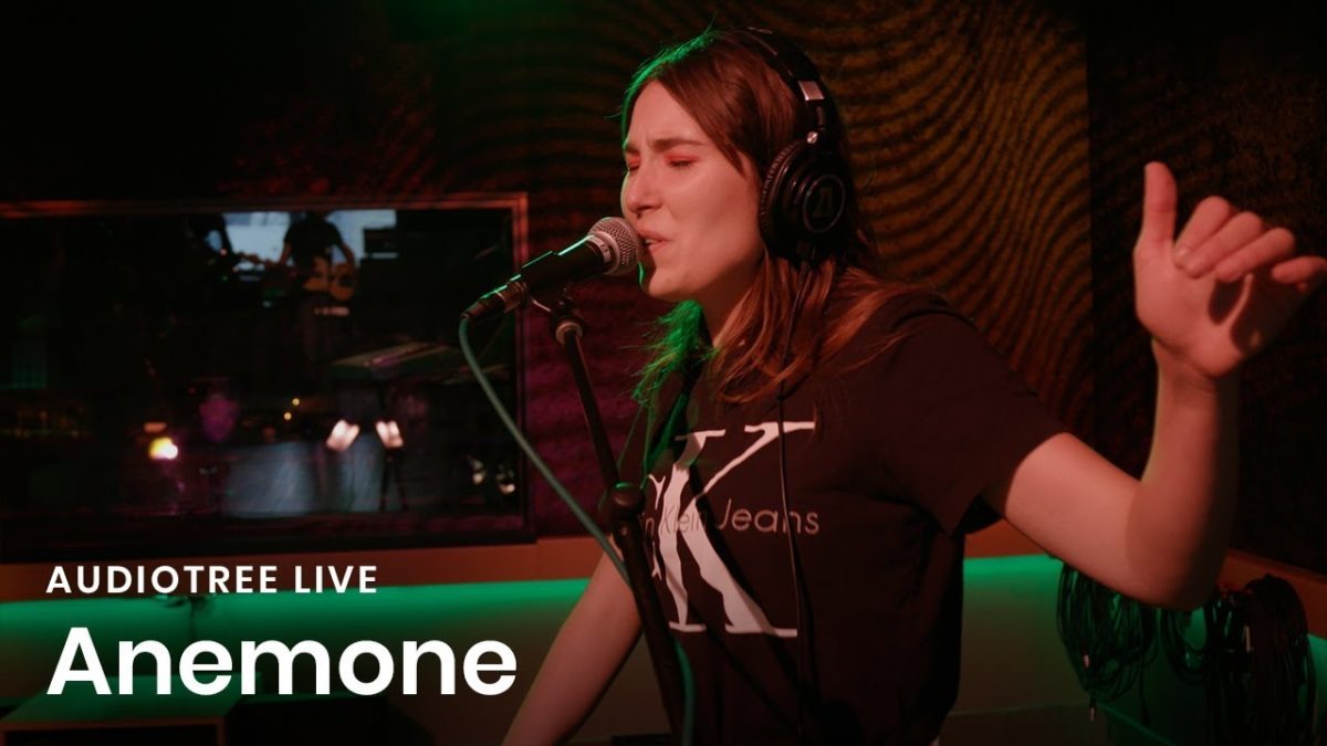 Anemone - Sunshine (Back to the Start) | Audiotree Live