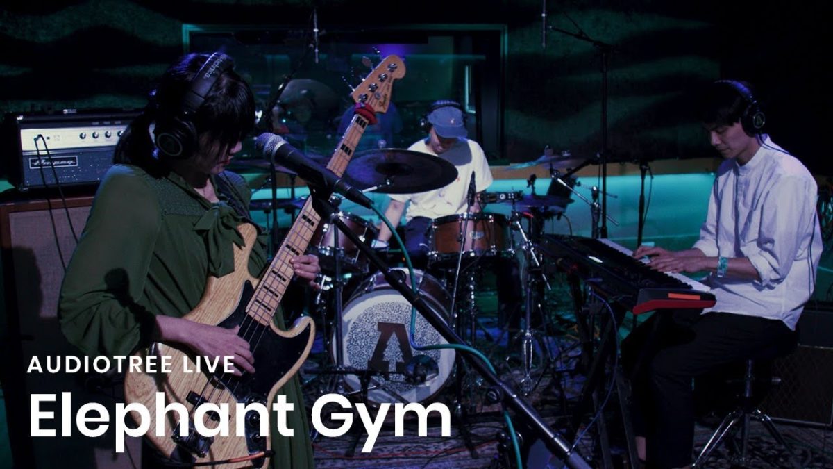 Elephant Gym - Head & Body | Audiotree Live