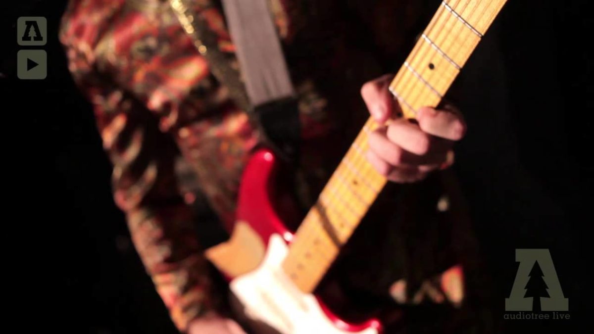 Exotic Animal Petting Zoo - Apis Bull - Audiotree Live