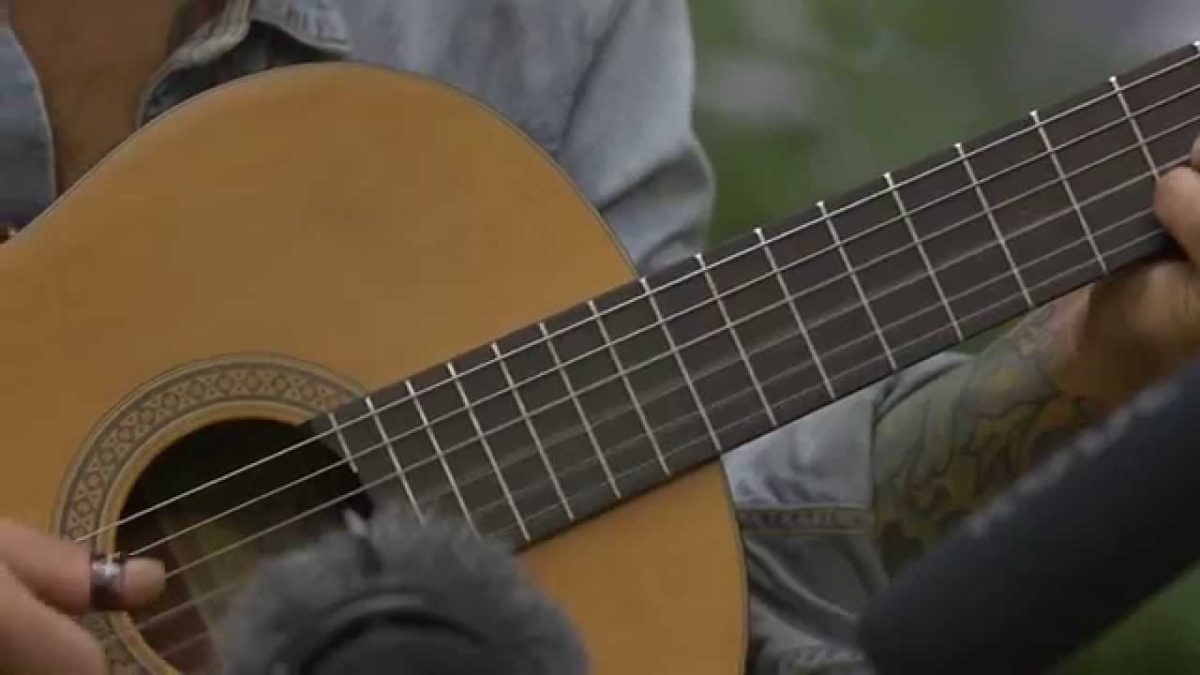 Houndstooth - Amelia (Live on KEXP @Pickathon)