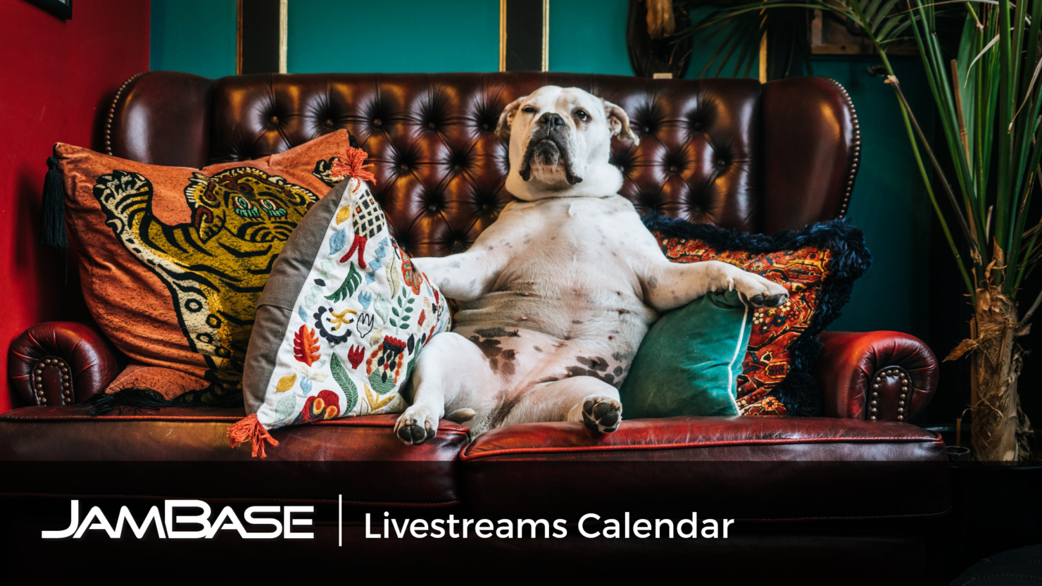 JamBase Launches Livestreams Calendar