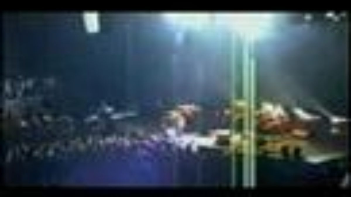 Phish 2000-09-29 w/ Kid Rock Las Vegas, NV