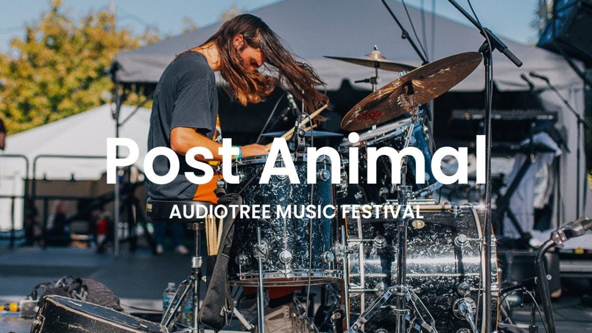 Post Animal - Gelatin Mode | Audiotree Music Festival 2018